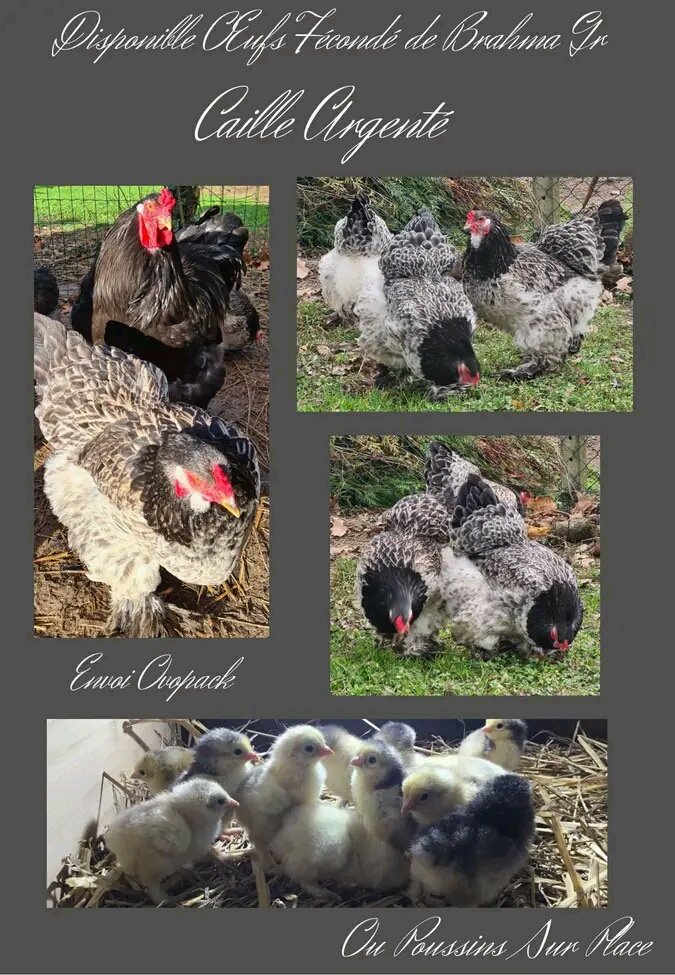 N&rsquo;hésitez pas à nous contacter en cas de besoin !